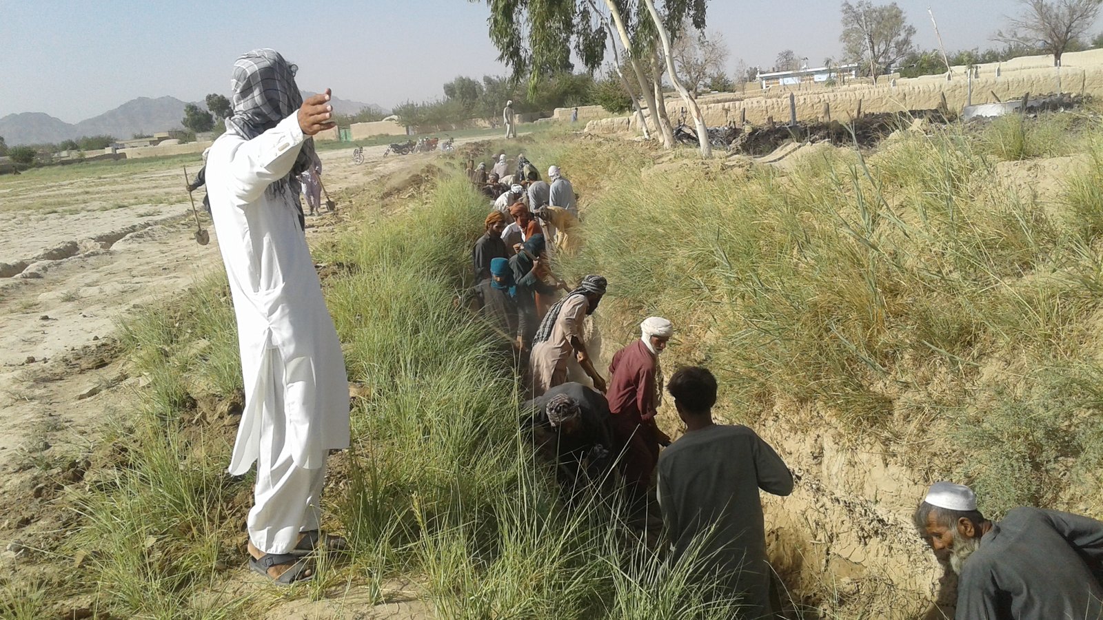 Agriculture Project